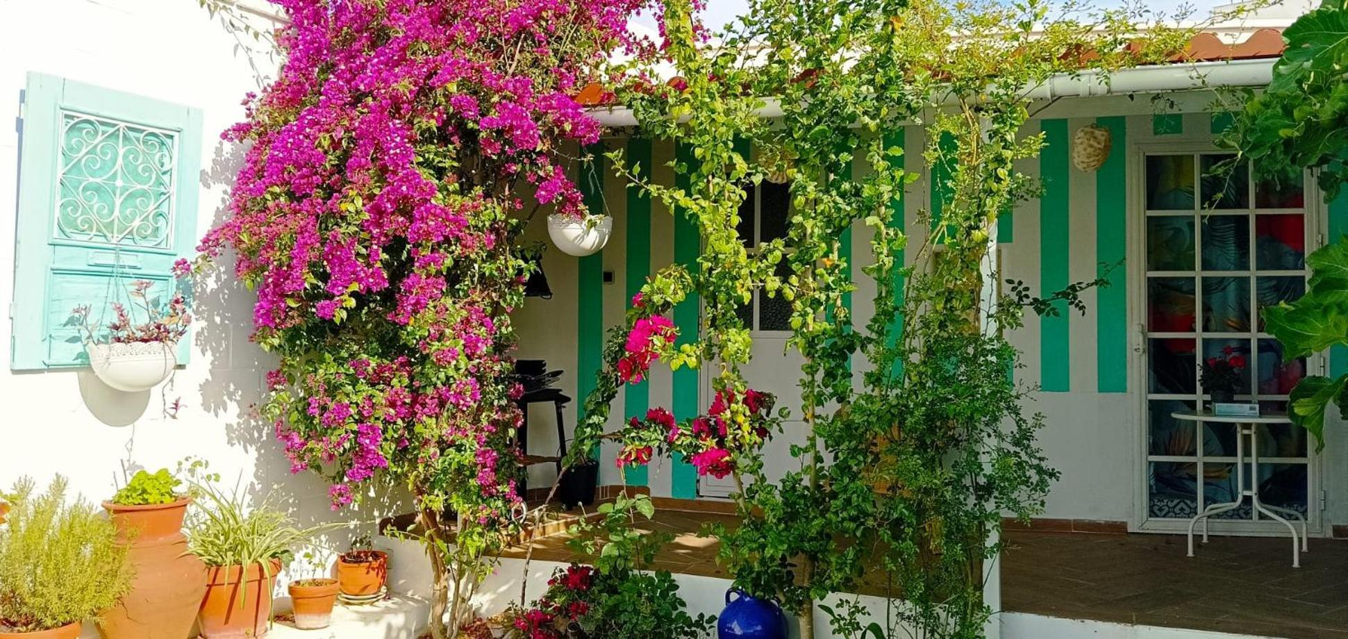 Casa Con Piscina Cerca De Sevilla Carrion de Los Cespedes 외부 사진