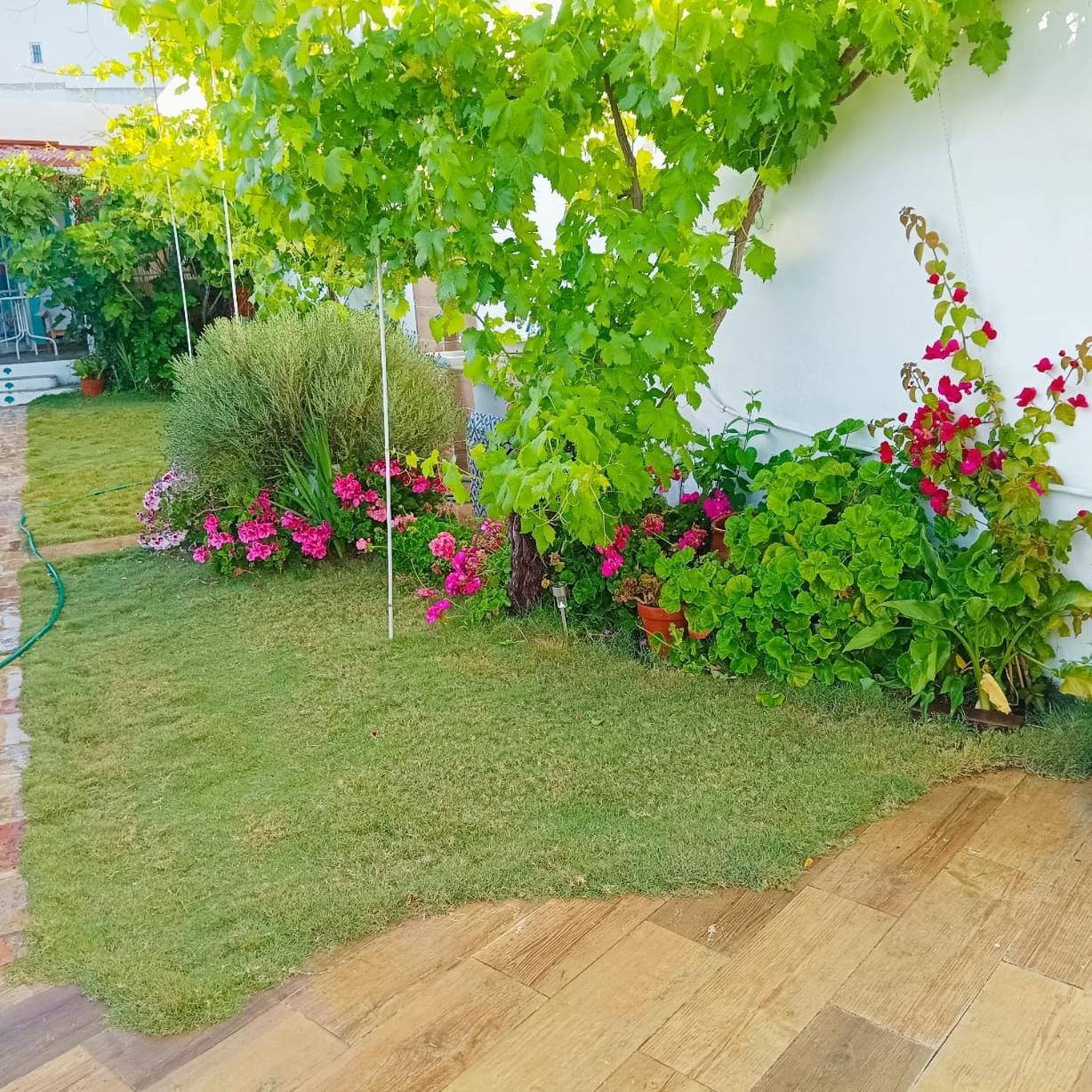 Casa Con Piscina Cerca De Sevilla Carrion de Los Cespedes 외부 사진